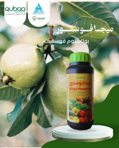 مــيــجــافــوســفــور