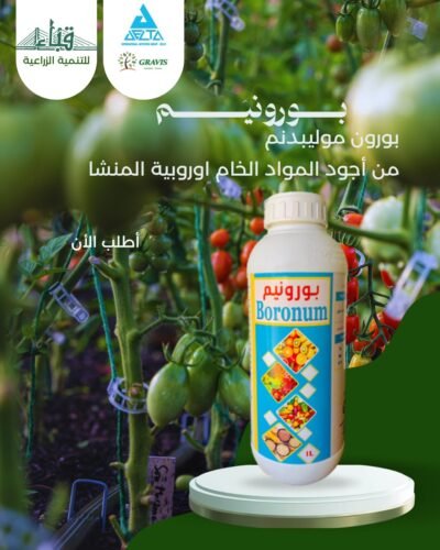 بــورونـيــم