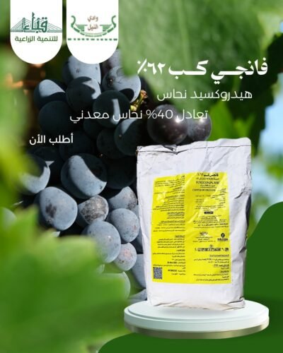 فــانــجــي كــب