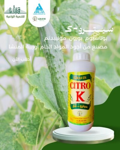 سـيـتــرو ك