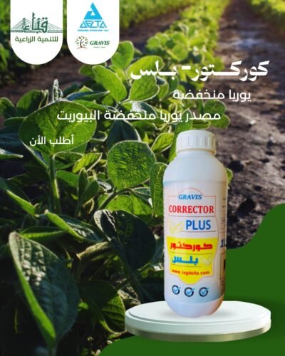 كــوركــتــور_بــلــس