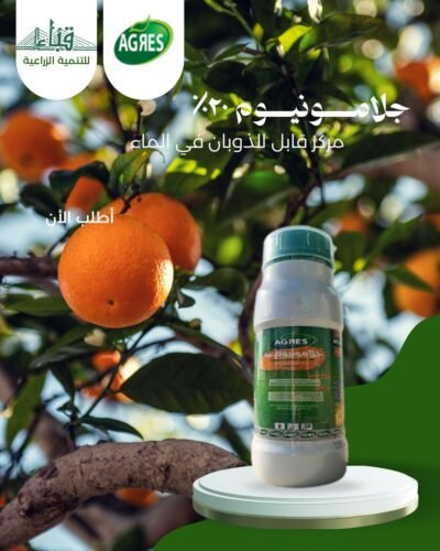 جــلامــونــيــوم