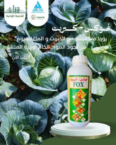 فــوكــس_كـبـريـت