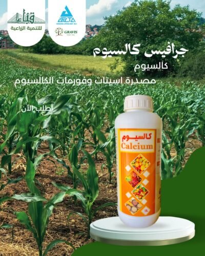 جــرافــيــس كــالــســيــوم
